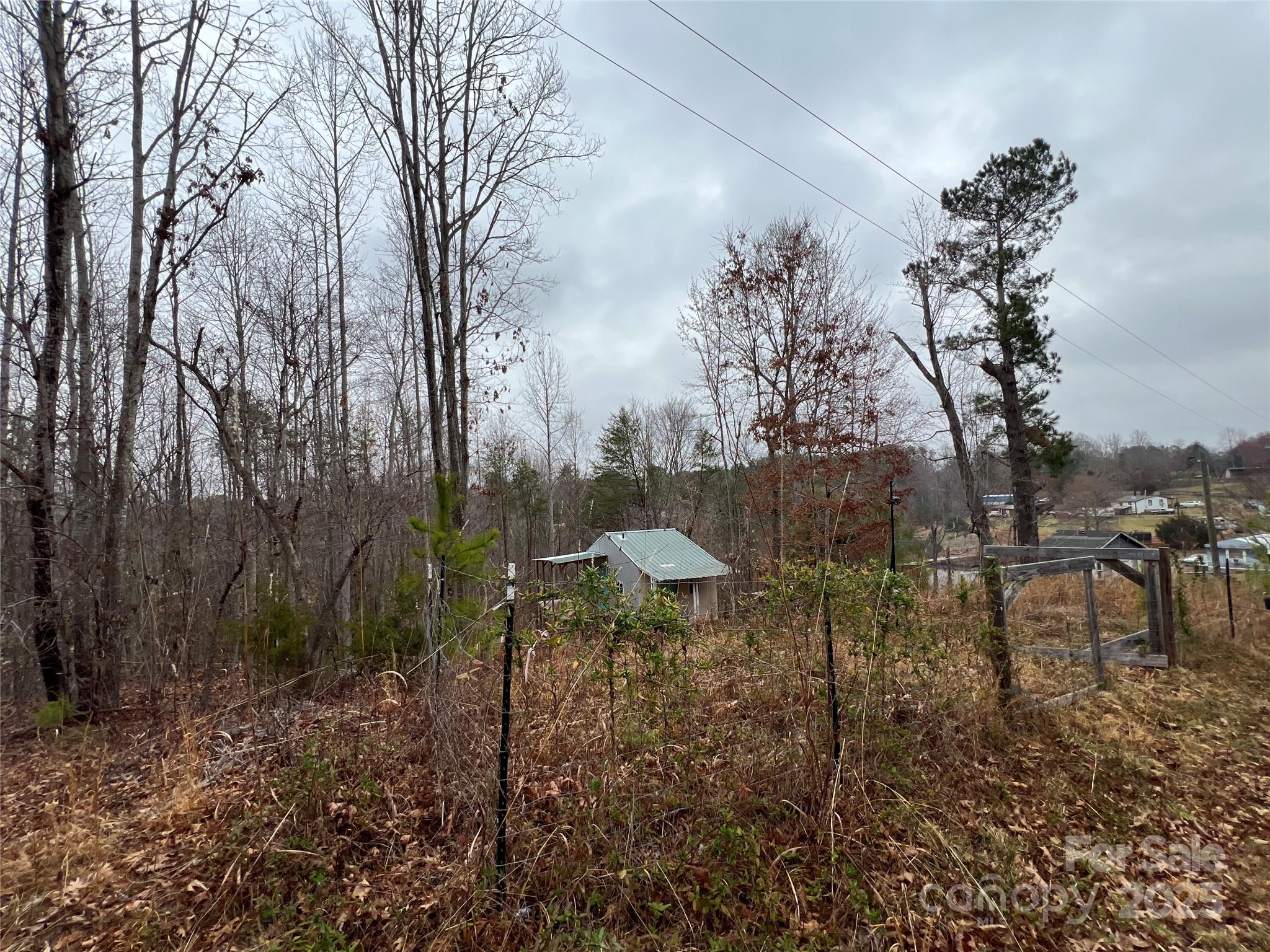 1217 Freeman Road Bostic, NC 28018 - Photo 16 of 16 a view of a park with large trees
