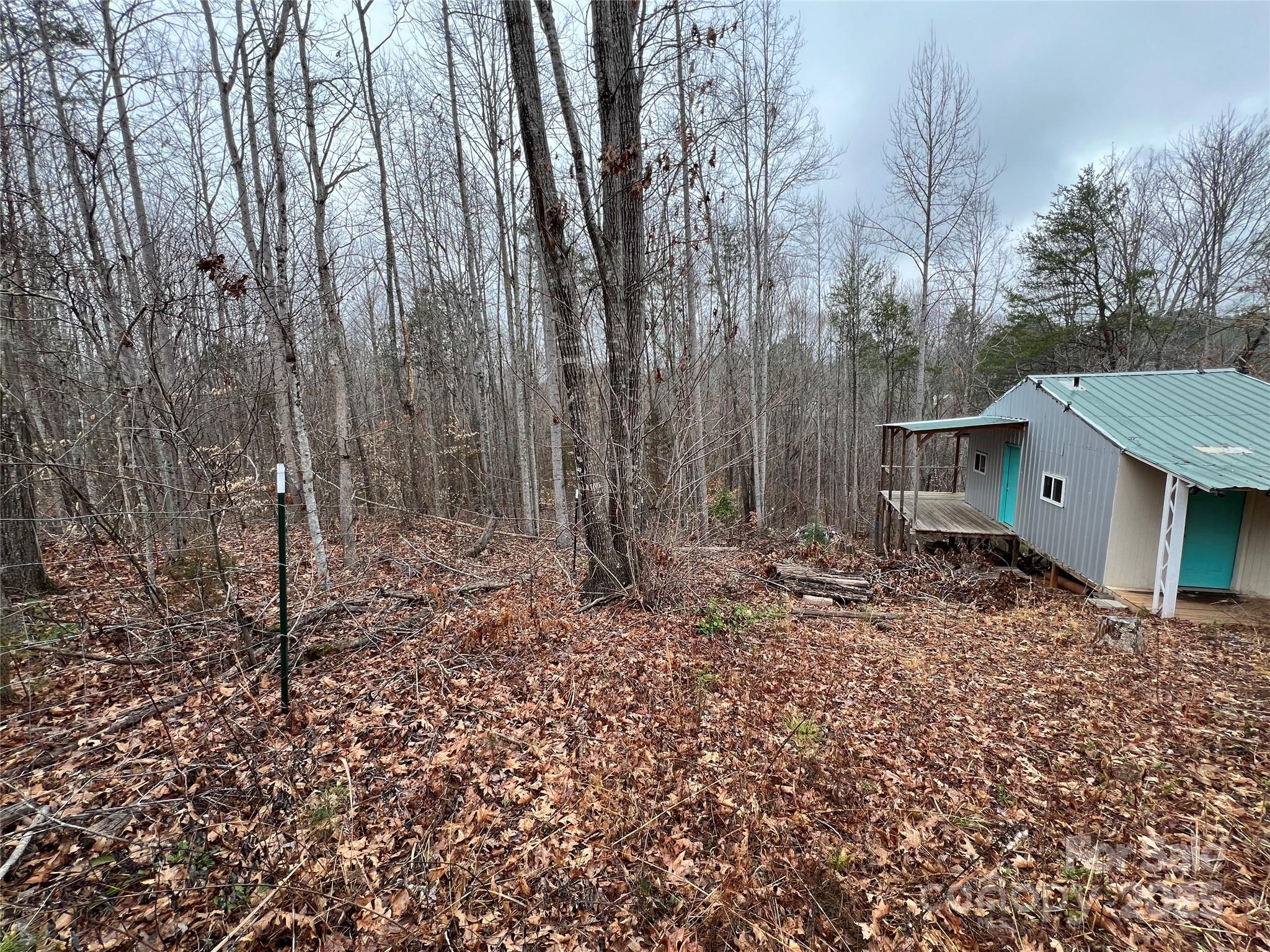 1217 Freeman Road Bostic, NC 28018 - Photo 6 of 16 a backyard of a house with lots of green space