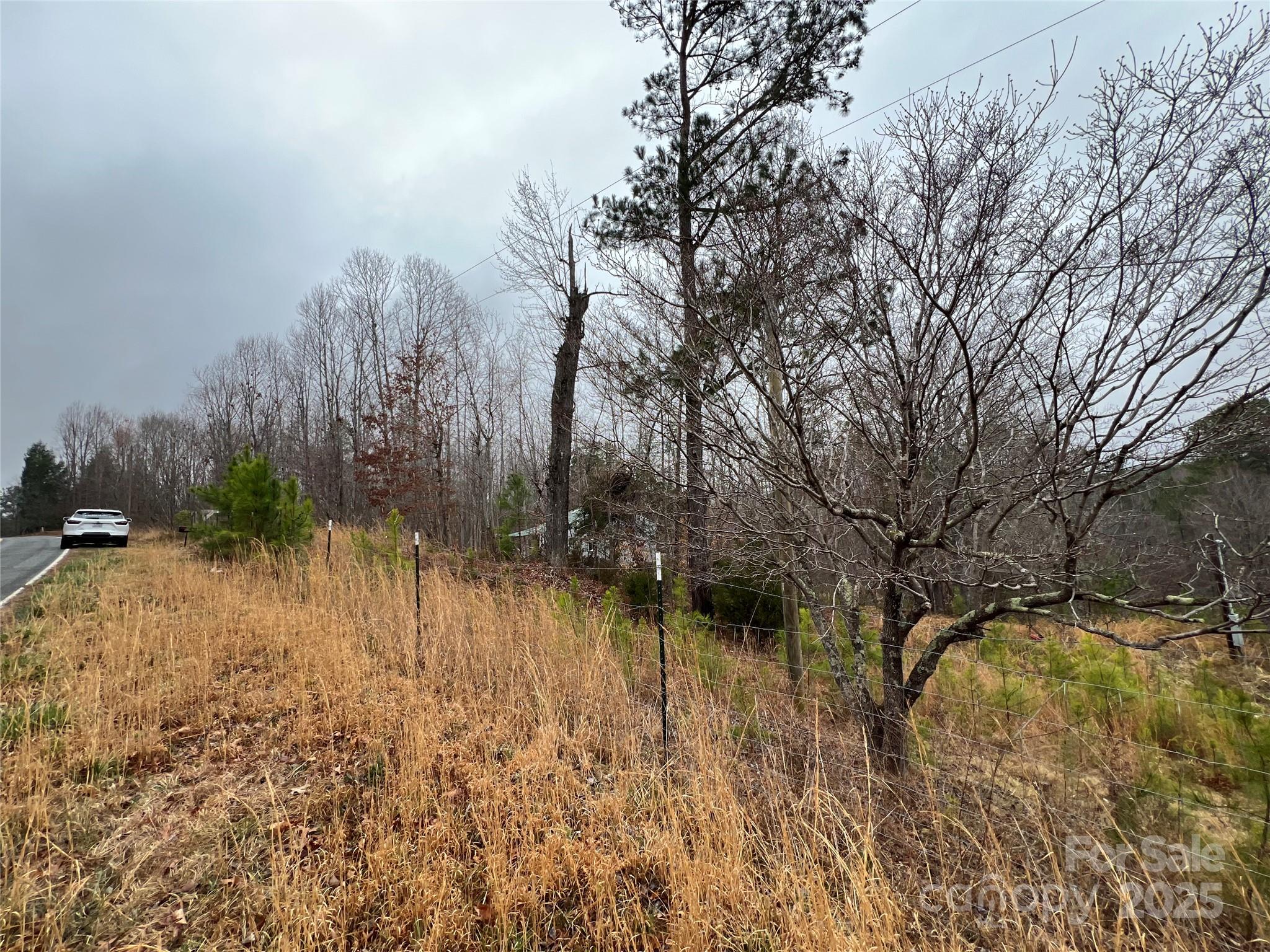 1217 Freeman Road Bostic, NC 28018 - Photo 7 of 16 a view of yard with green space