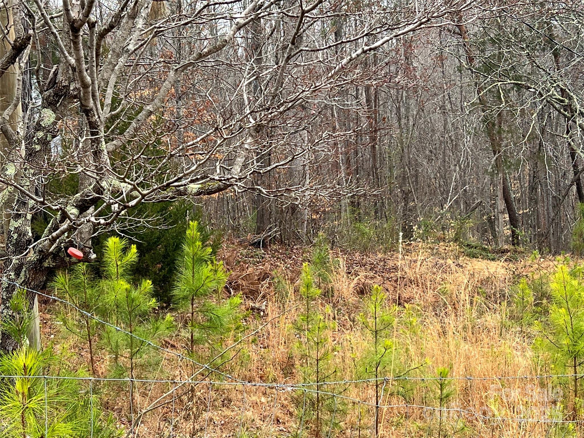 1217 Freeman Road Bostic, NC 28018 - Photo 9 of 16 a backyard of a house with lots of green space and chair