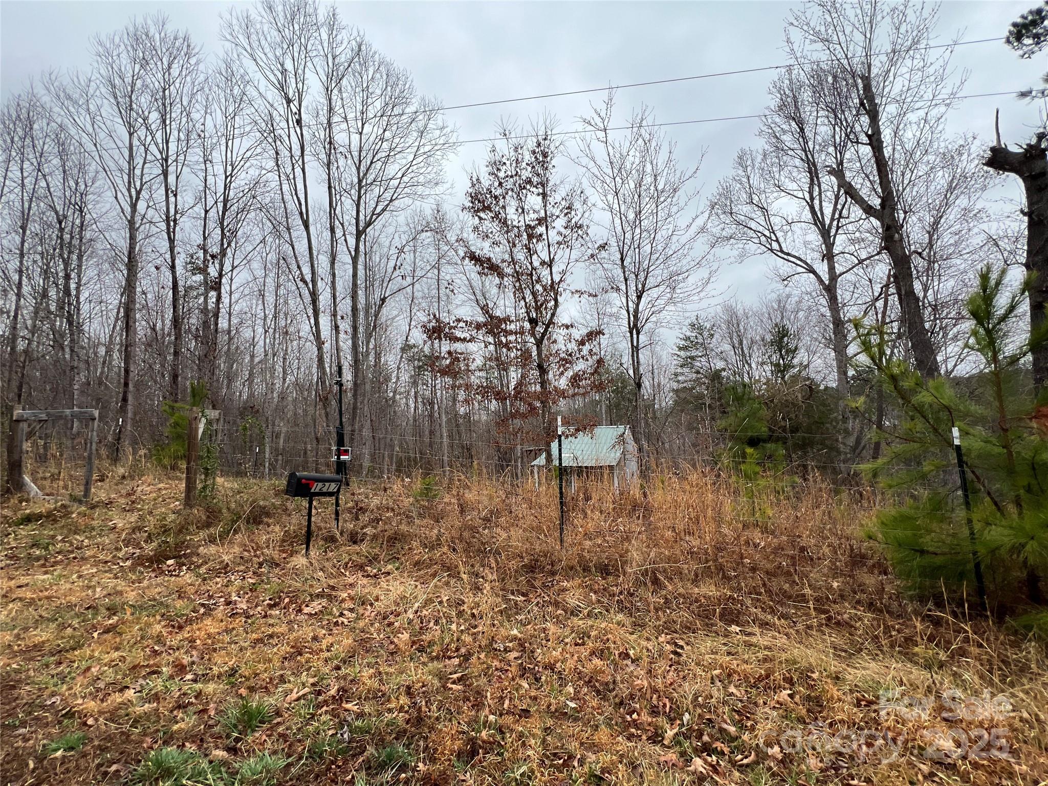 1217 Freeman Road Bostic, NC 28018 - Photo 10 of 16 a backyard of a house with lots of green space