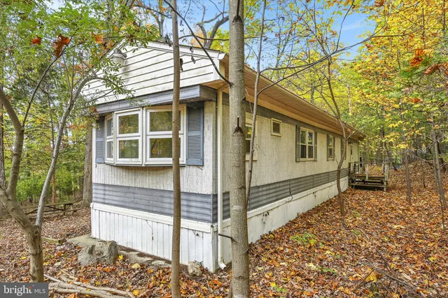 front view of a house with a large tree