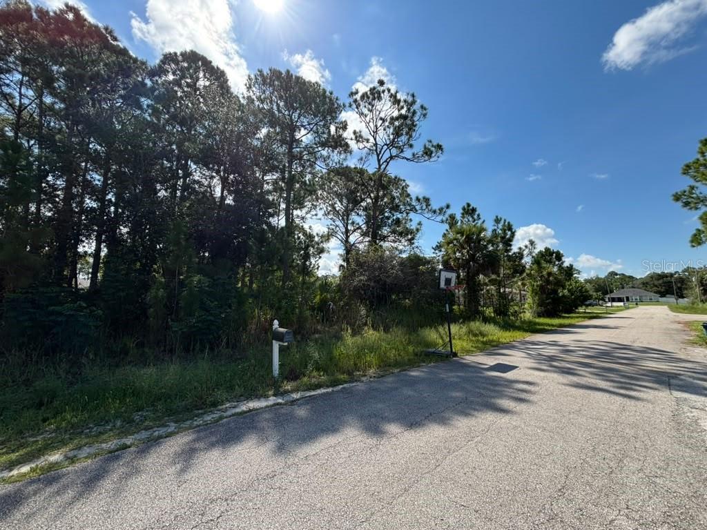 473 Wayland Road Southwest Palm Bay, FL 32908 - Photo 3 of 6 Gallery Image 3