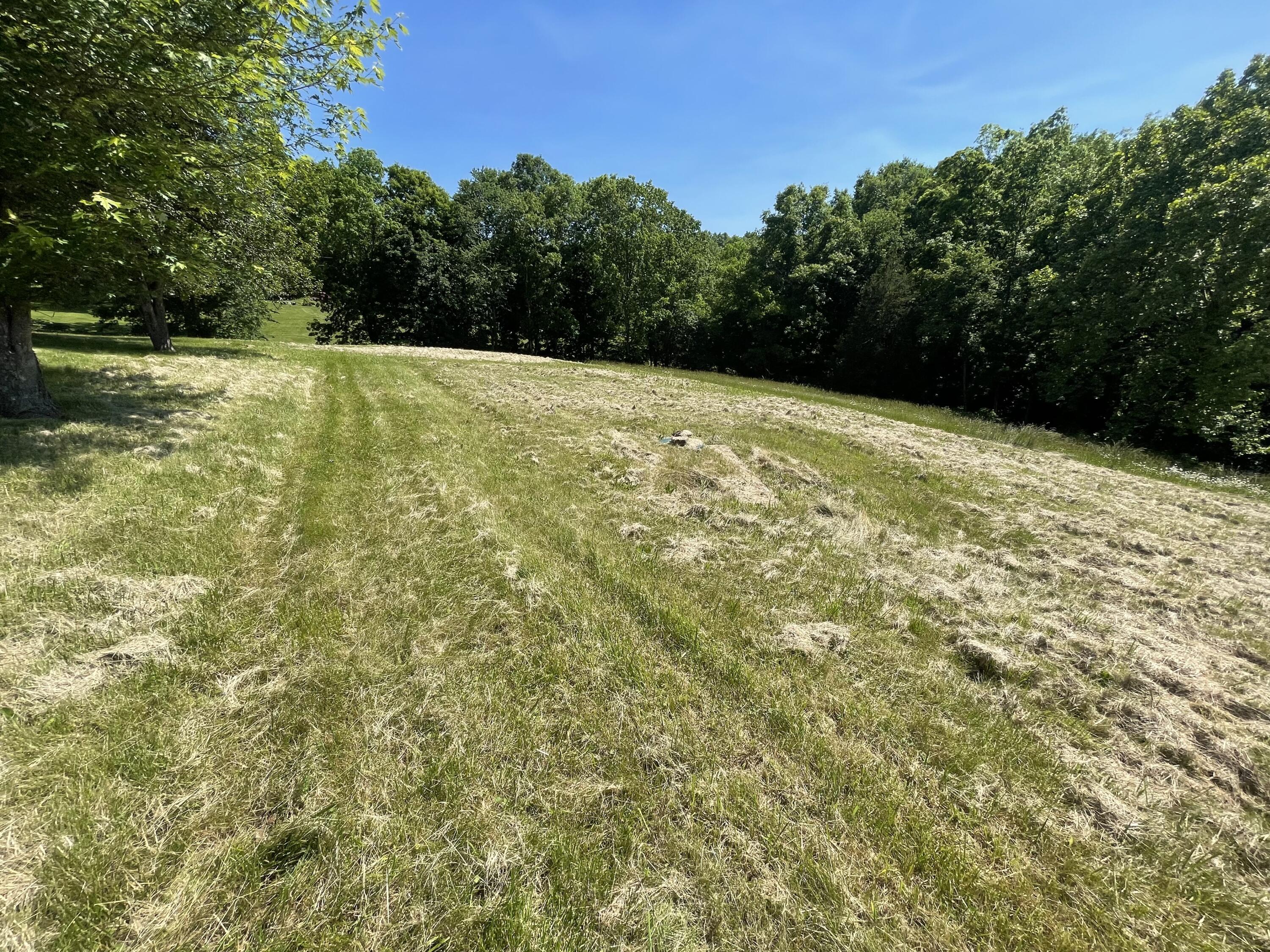 4880 Elliston Mt Zion Road Dry Ridge, KY 41035 - Photo 3 of 5