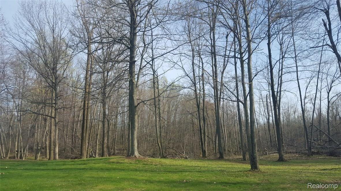3117 West Brocker Road Metamora, MI 48455 - Photo 13 of 13 20170424_175049.jpg