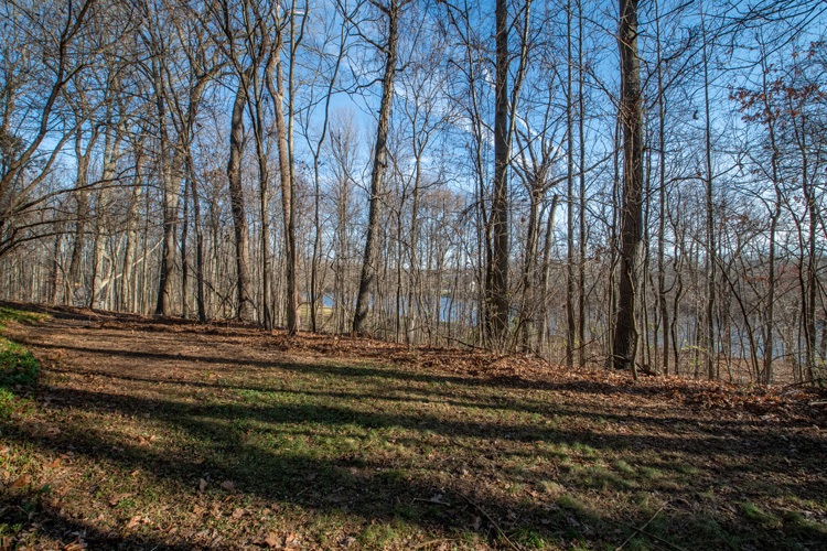 50768 Lilac Road South Bend, IN 46628 - Photo 22 of 22 Gallery Image 22