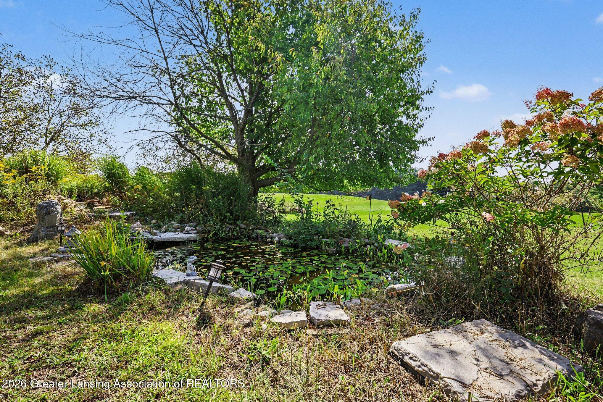 1505 Stillman Road Mason, MI 48854 - Photo 29 of 37 Pond