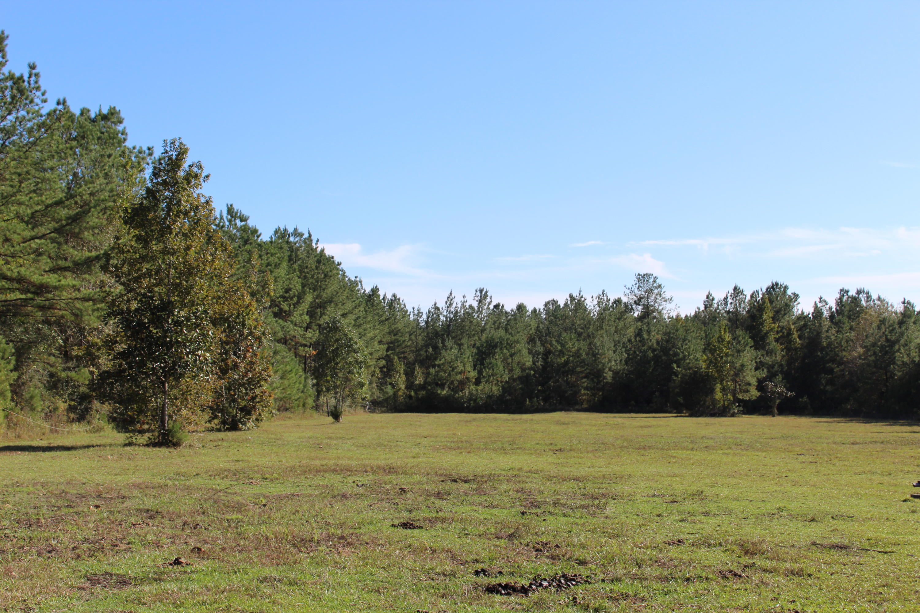 1385 George Montgomery Road DeFuniak Springs, FL 32435 - Photo 49 of 62 Gallery Image 49