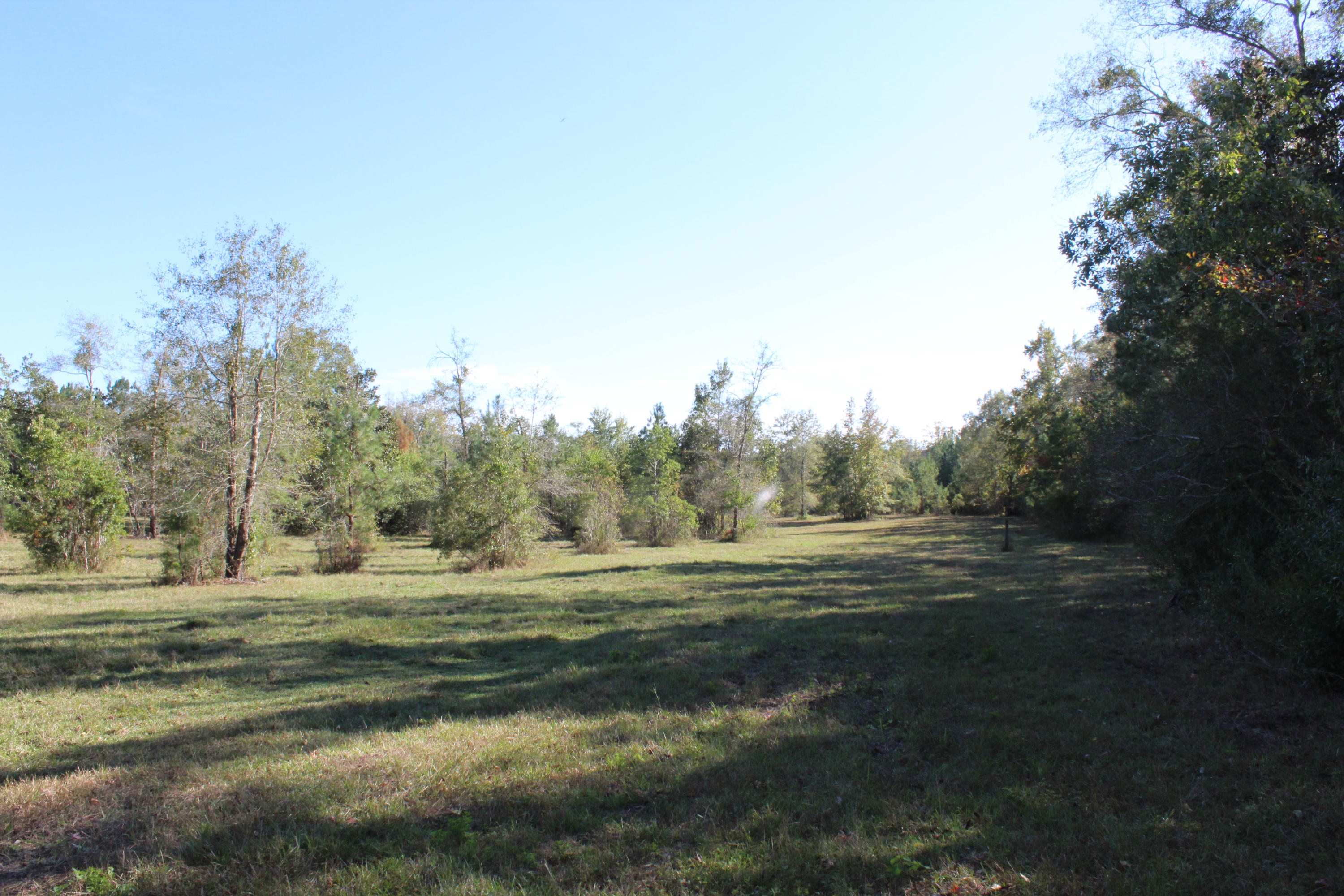 1385 George Montgomery Road DeFuniak Springs, FL 32435 - Photo 50 of 62 Gallery Image 50