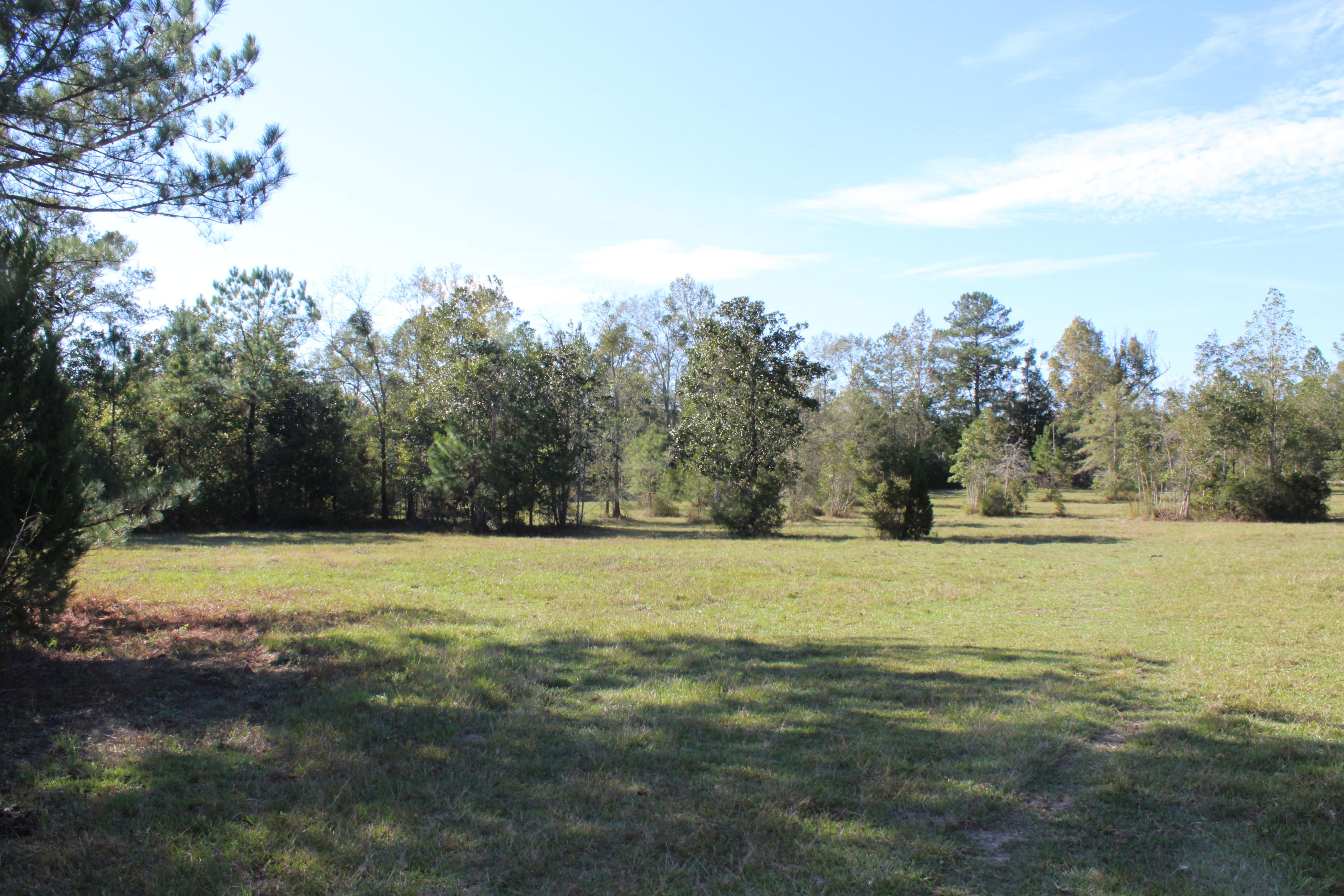 1385 George Montgomery Road DeFuniak Springs, FL 32435 - Photo 51 of 62 Gallery Image 51