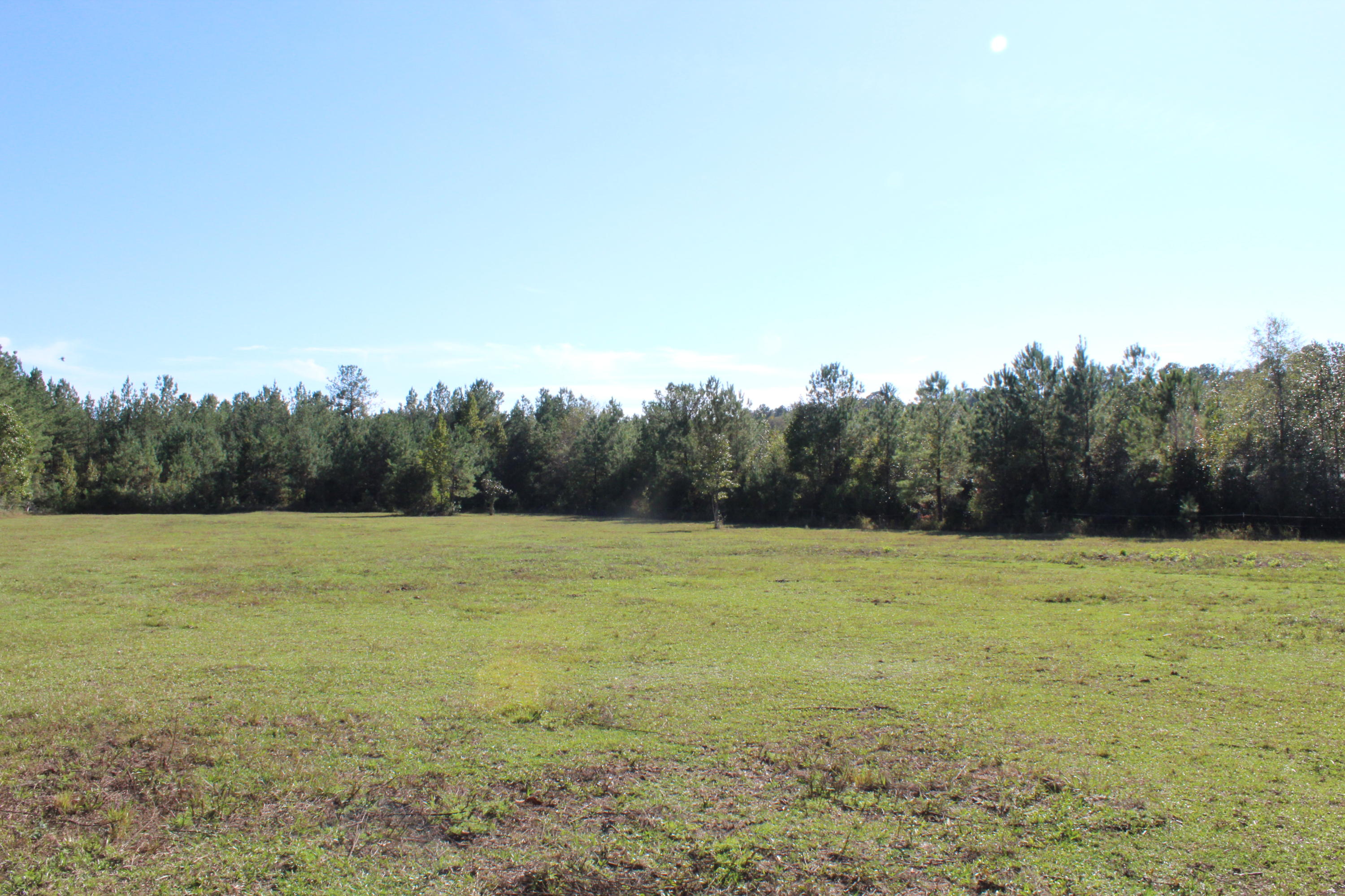 1385 George Montgomery Road DeFuniak Springs, FL 32435 - Photo 52 of 62 Gallery Image 52