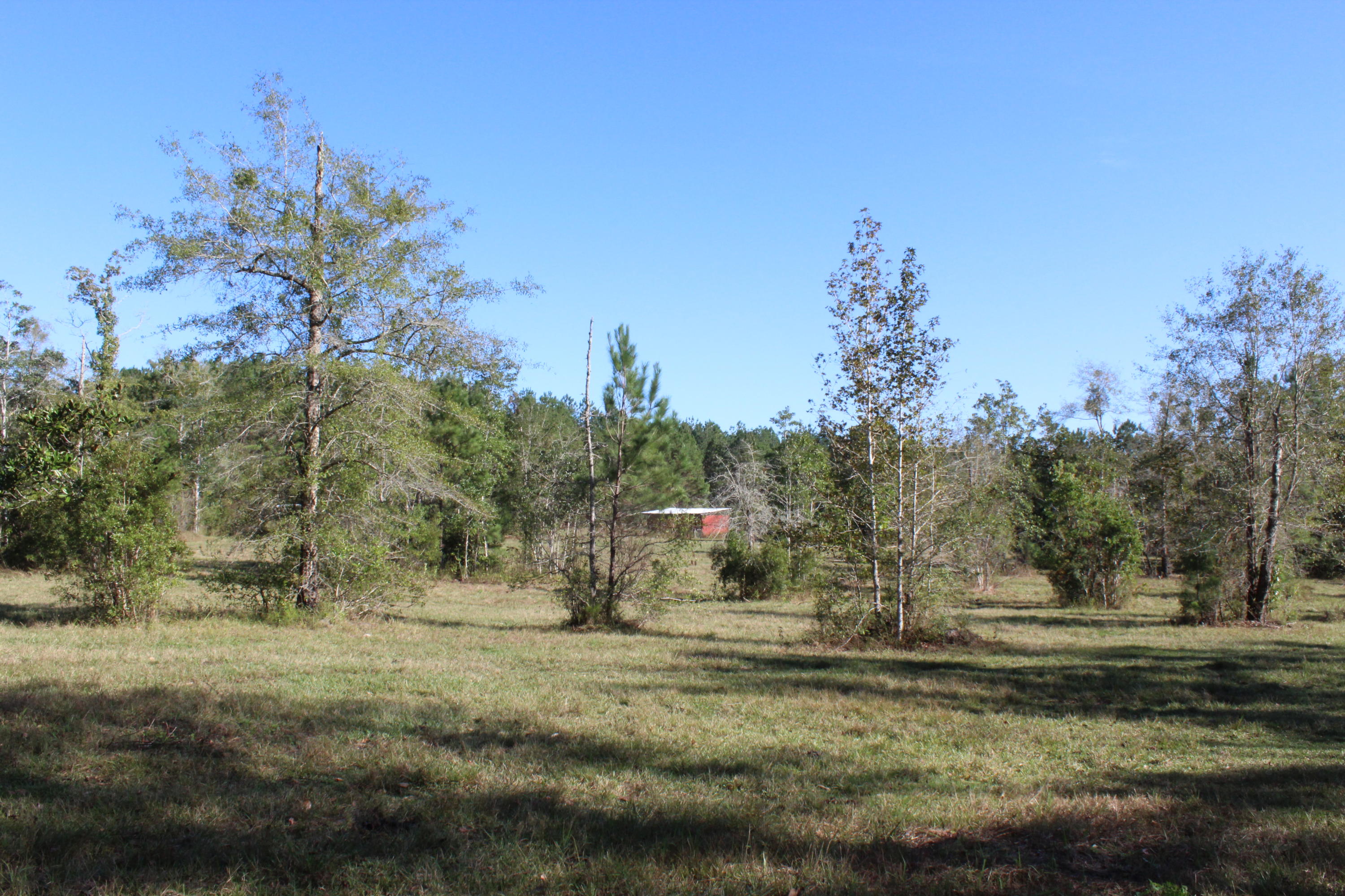 1385 George Montgomery Road DeFuniak Springs, FL 32435 - Photo 53 of 62 Gallery Image 53