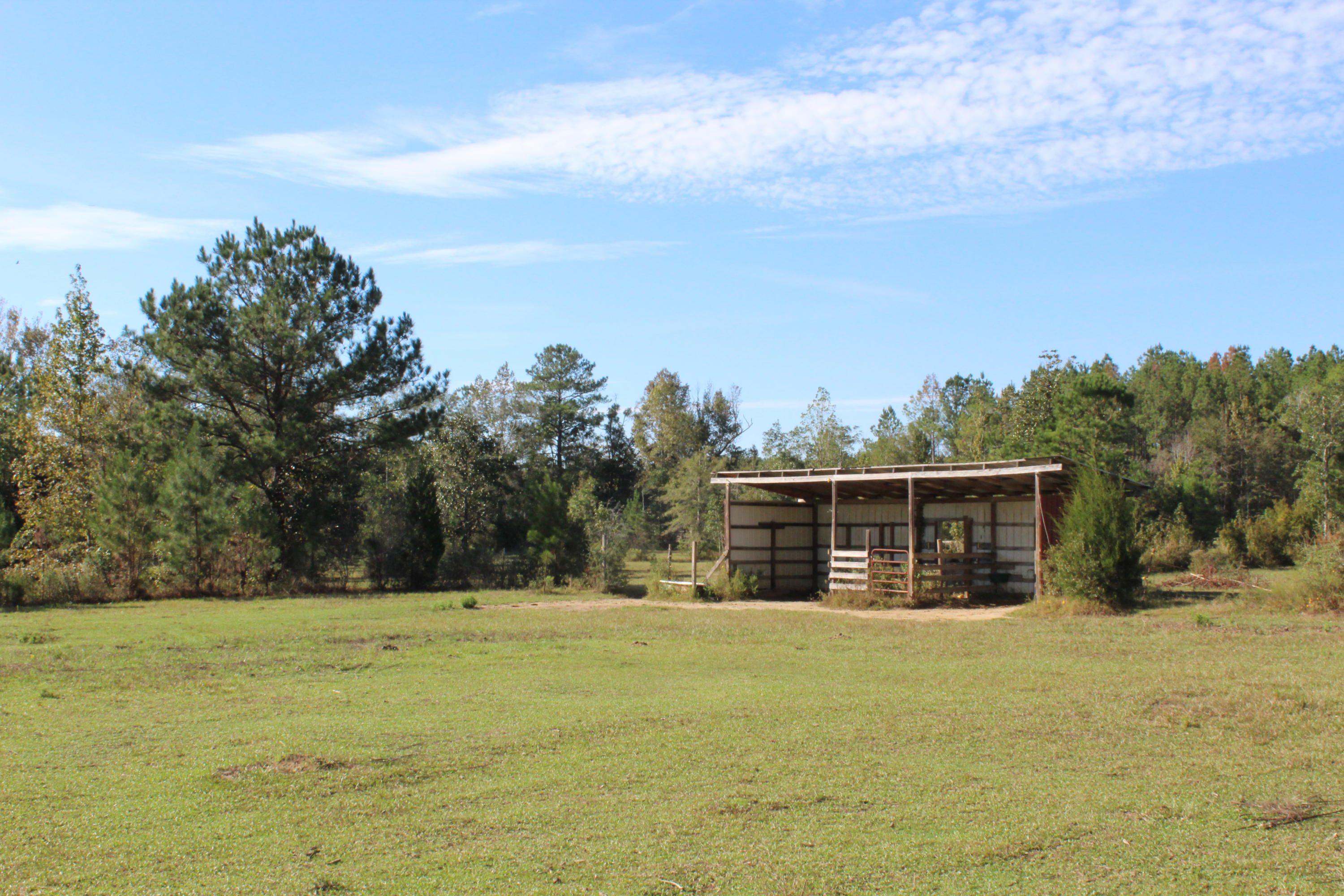 1385 George Montgomery Road DeFuniak Springs, FL 32435 - Photo 54 of 62 Gallery Image 54