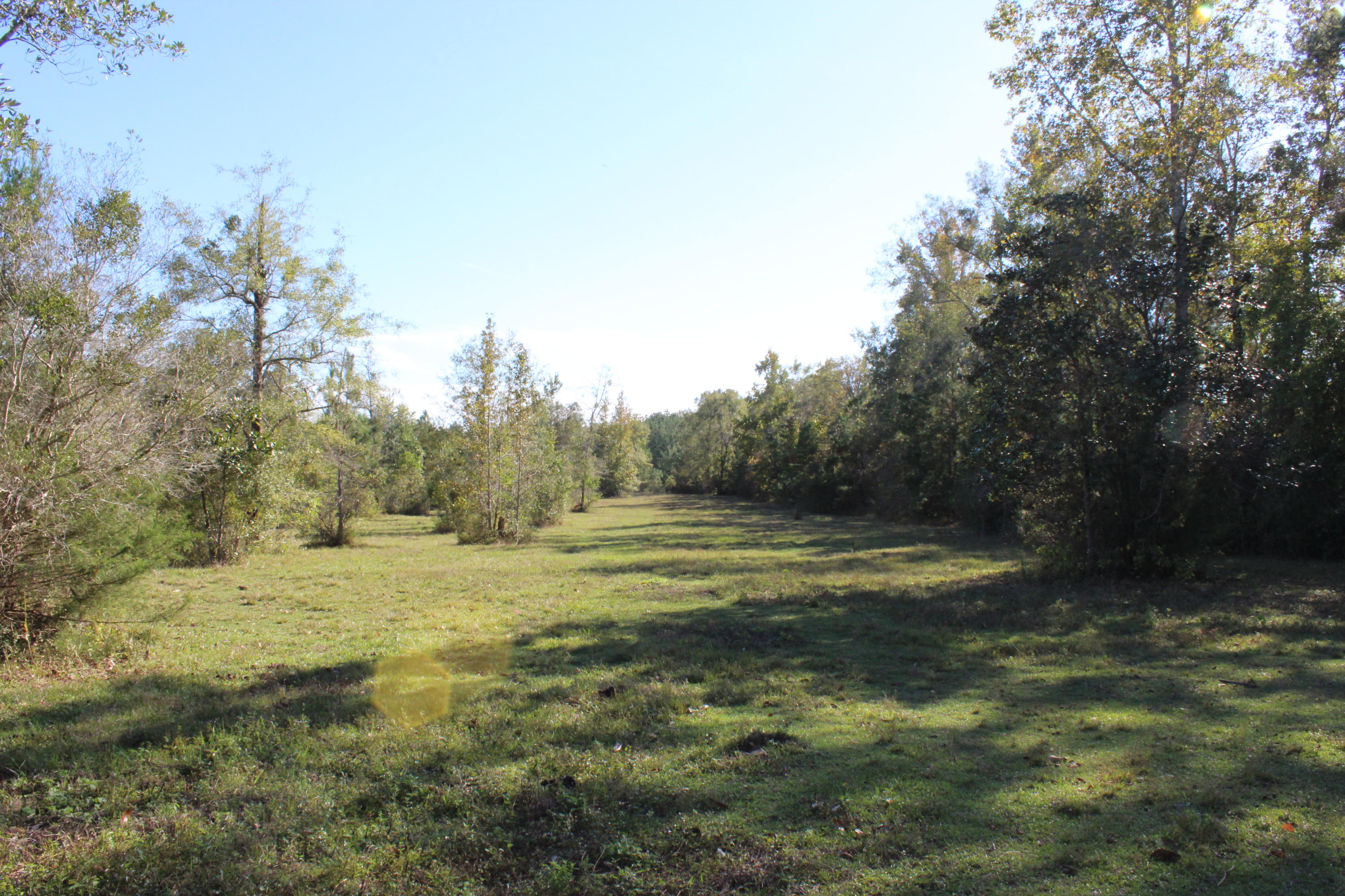 1385 George Montgomery Road DeFuniak Springs, FL 32435 - Photo 55 of 62 Gallery Image 55