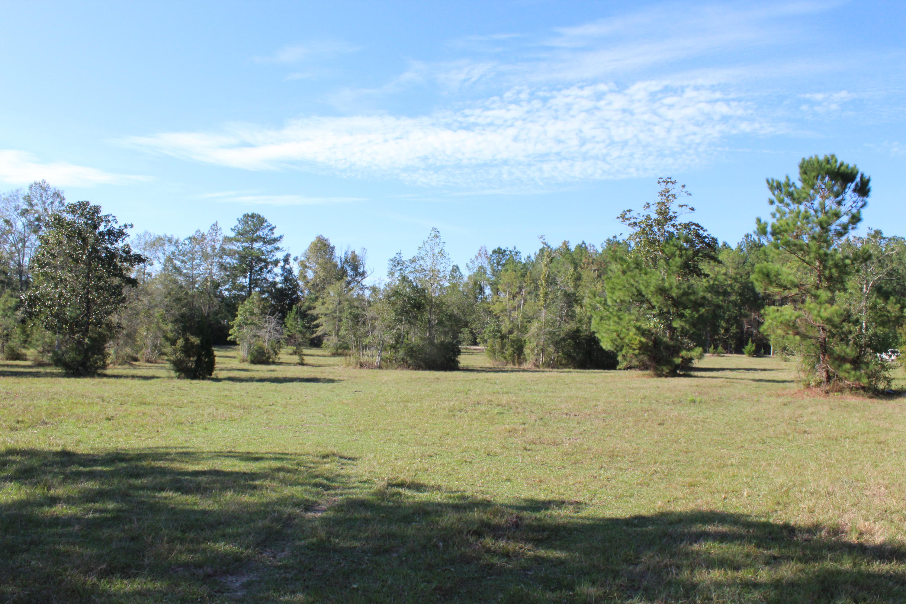 1385 George Montgomery Road DeFuniak Springs, FL 32435 - Photo 56 of 62 Gallery Image 56