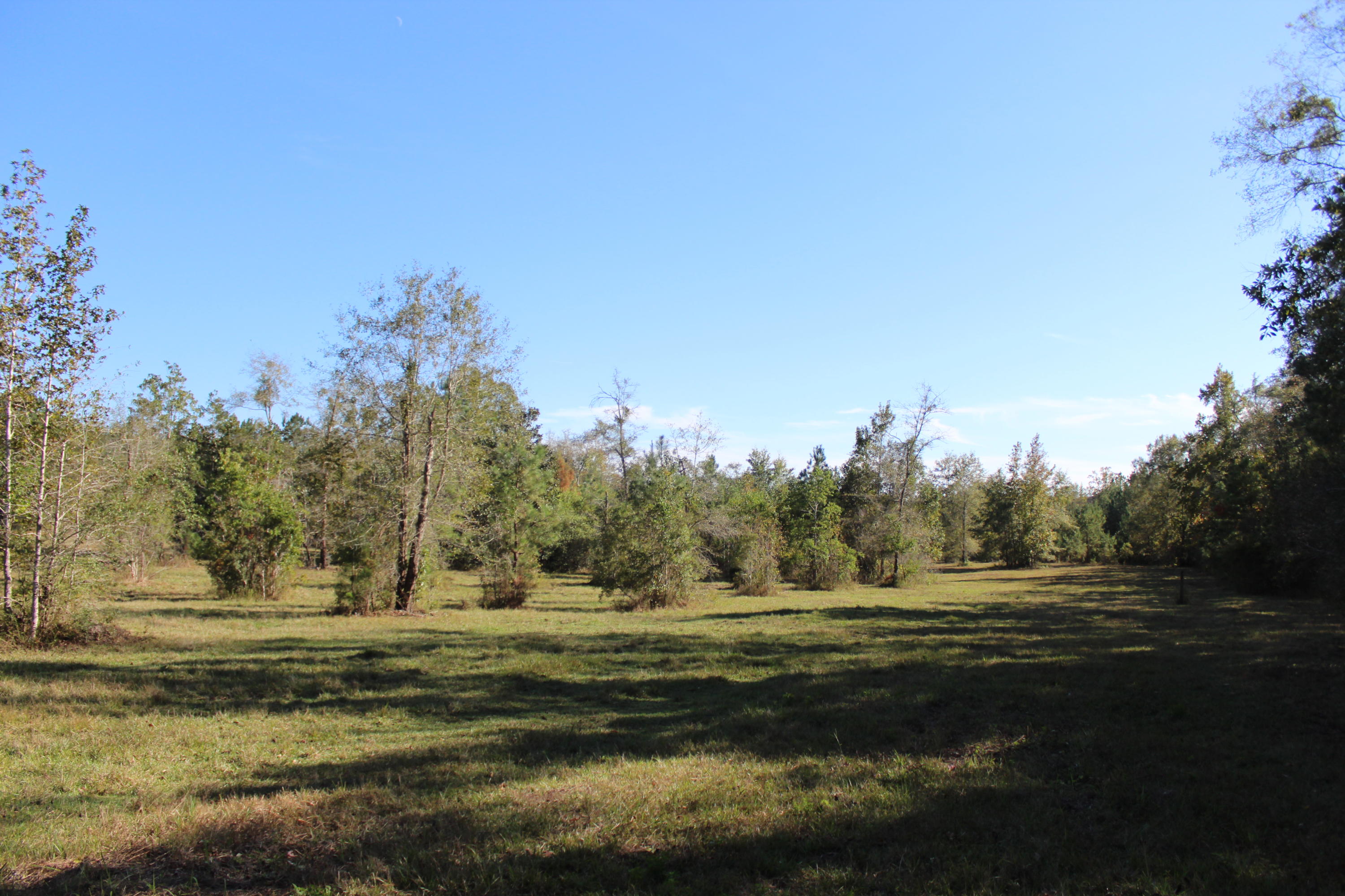 1385 George Montgomery Road DeFuniak Springs, FL 32435 - Photo 57 of 62 Gallery Image 57