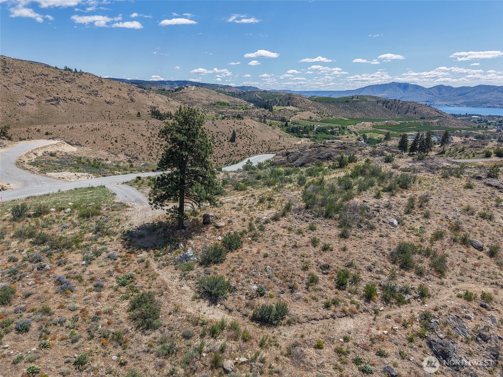 661 Glory View Lane, Unit 2 Manson, WA 98831 - Photo 19 of 19 a view of mountain view with lots of trees