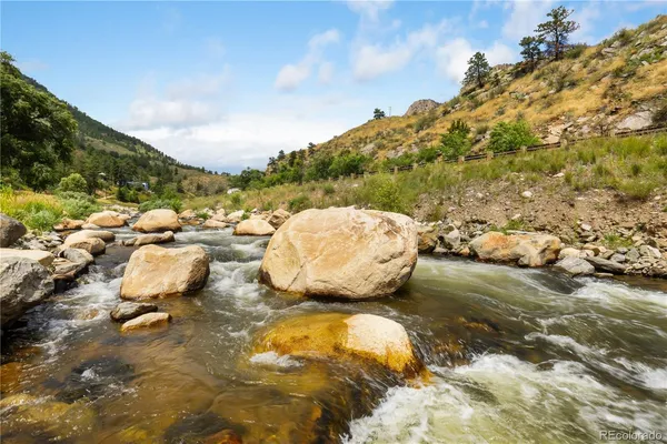 a view of a dry yard with lots of green space