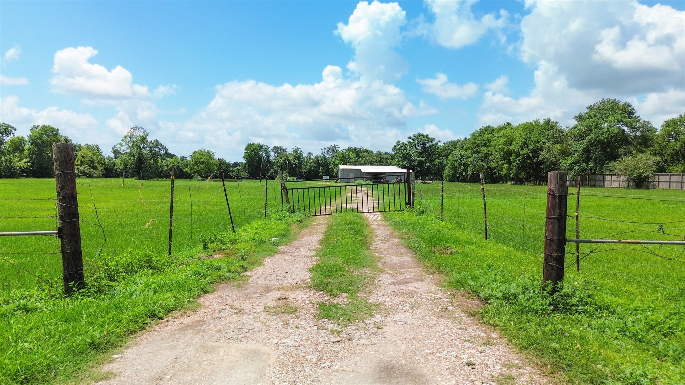 1126 Brooks Avenue Rosenberg, TX 77471 - Photo 3 of 15 a view of a park with a big yard