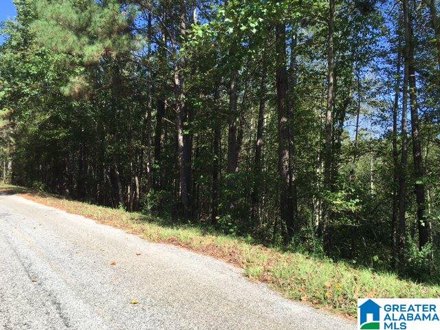 2932 County Road 82 Lineville, AL 36266 - Photo 9 of 16