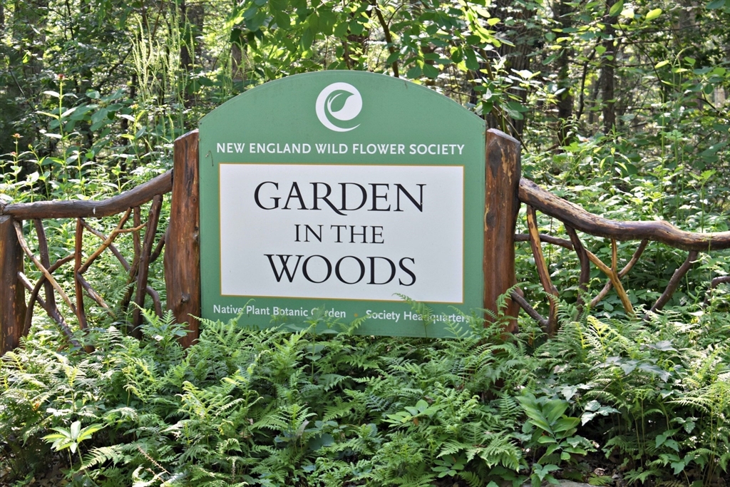 2 Catherine Road Framingham, MA 01701 - Photo 36 of 36