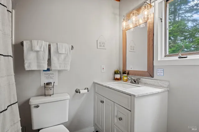 a bathroom with a sink vanity toilet and a mirror