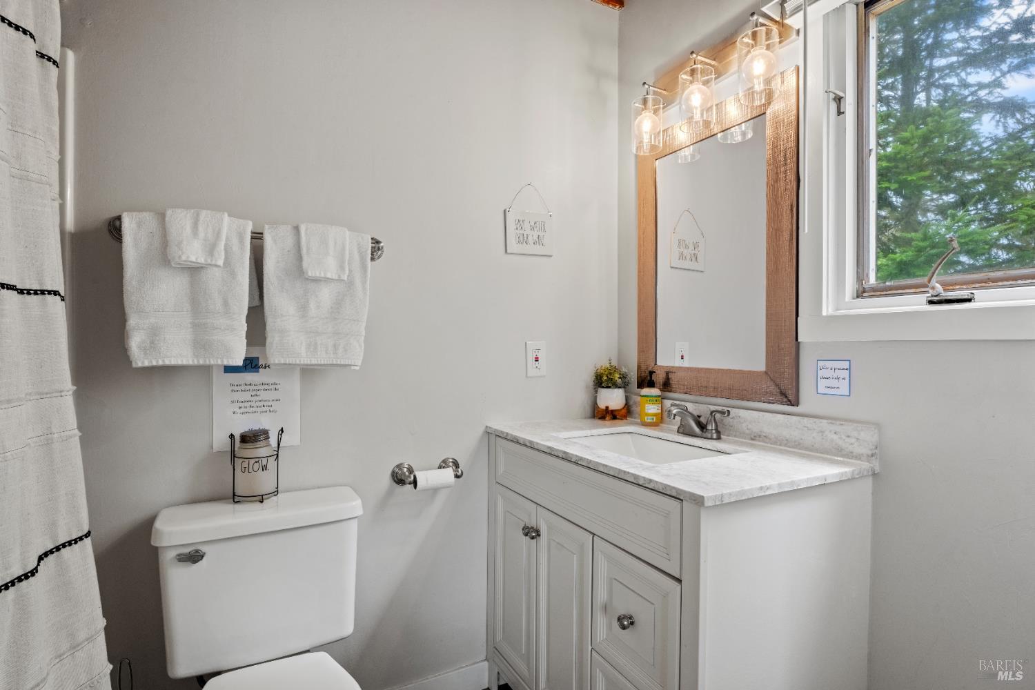 15741 Forest View Road Manchester, CA 95459 - Photo 15 of 28 a bathroom with a sink vanity toilet and a mirror