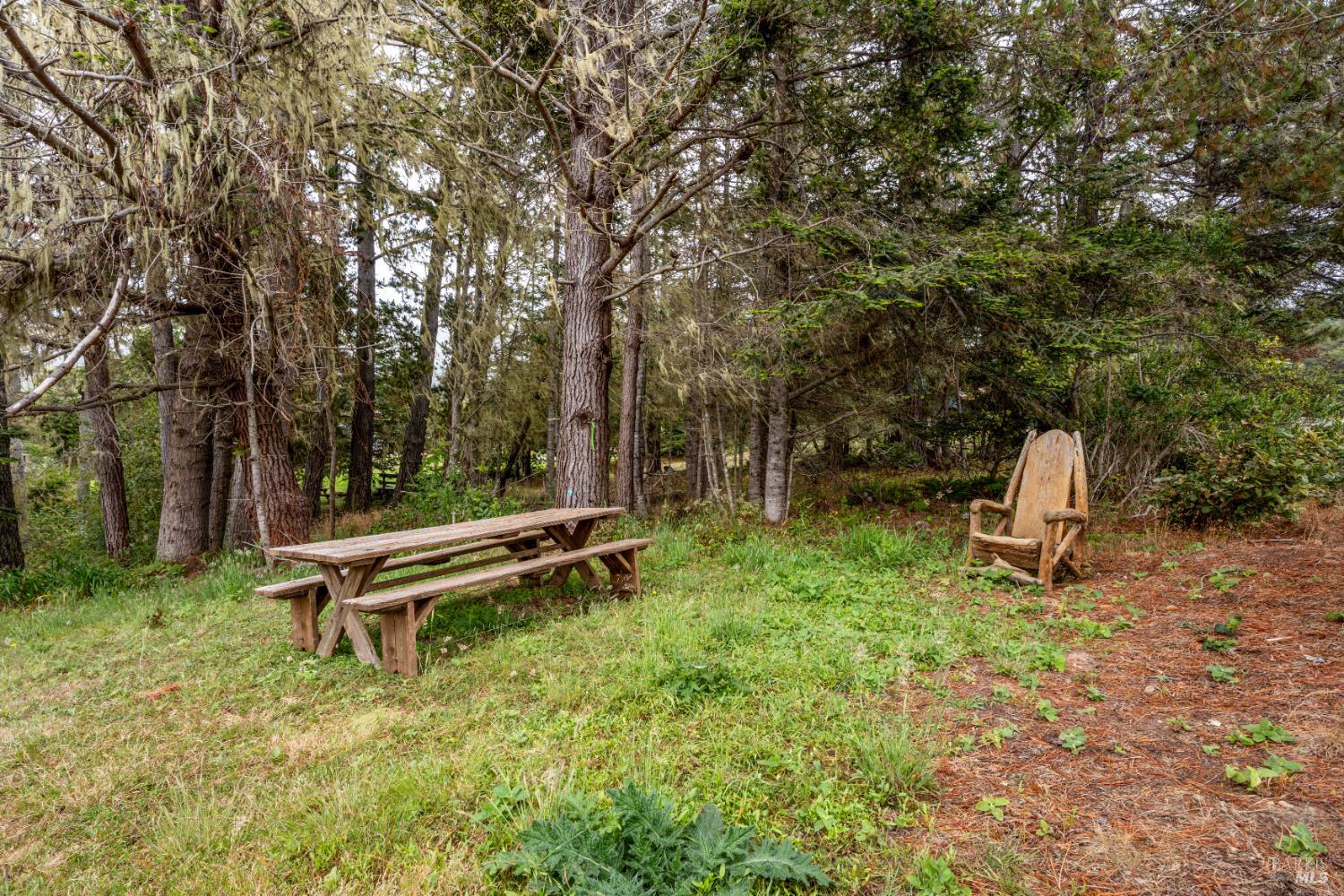 15741 Forest View Road Manchester, CA 95459 - Photo 22 of 28 a view of a bench in a garden