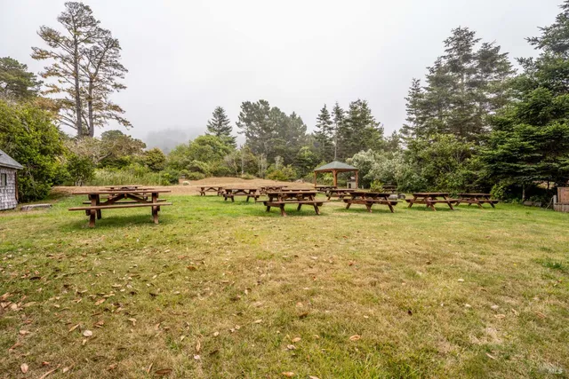 a view of outdoor space with swimming pool and trees