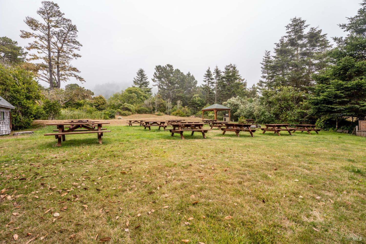 15741 Forest View Road Manchester, CA 95459 - Photo 23 of 28 a view of outdoor space with swimming pool and trees