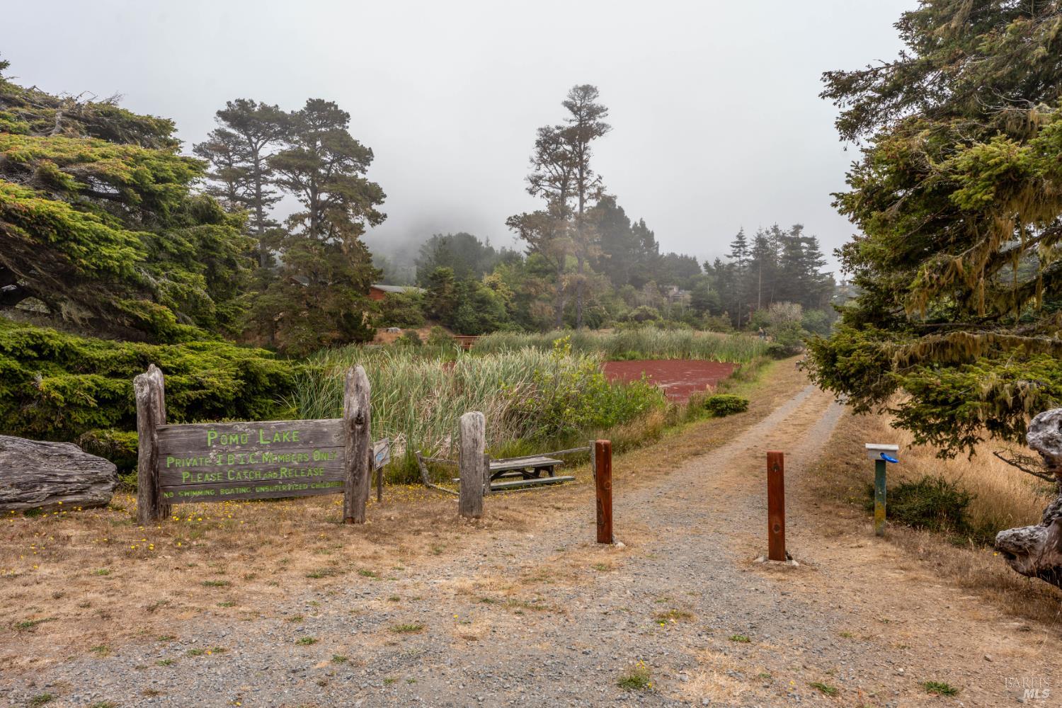 15741 Forest View Road Manchester, CA 95459 - Photo 28 of 28 a view of a bench in a yard