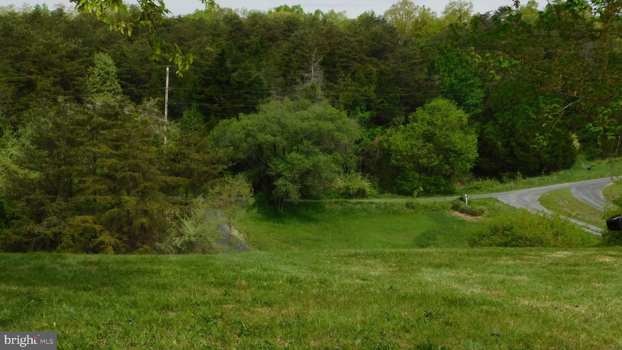 205 Guard Road Middletown, VA 22645 - Photo 4 of 26 a view of a park