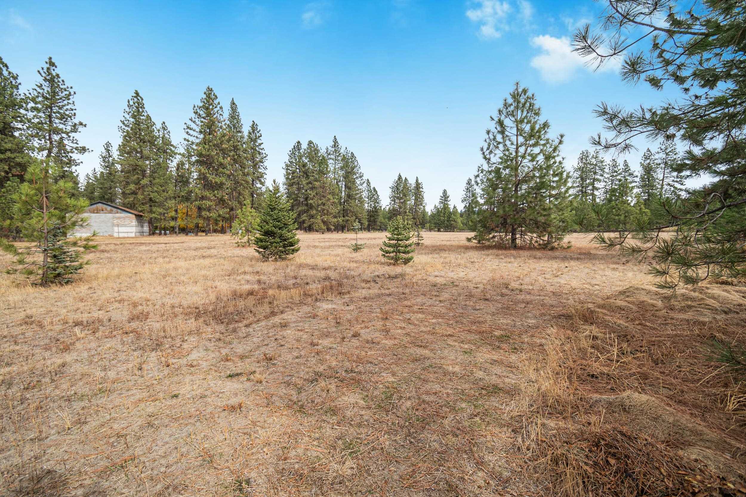 3701 East Norwood Road Colbert, WA 99005 - Photo 41 of 50