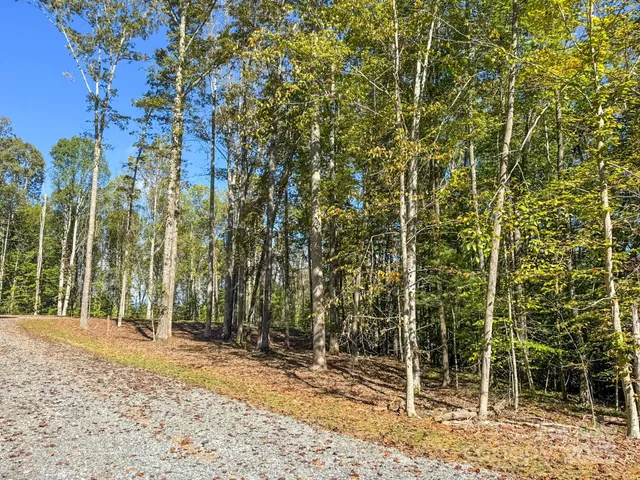 a backyard of a house with large trees