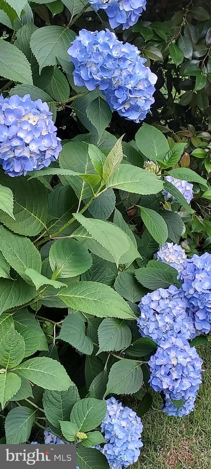 7410 Dakota Avenue Chesapeake Beach, MD 20732 - Photo 49 of 68