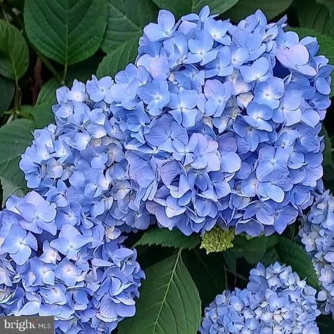 $499,900 | 7410 Dakota Avenue, Chesapeake Beach, MD 20732