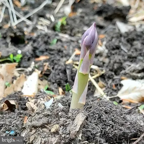 $499,900 | 7410 Dakota Avenue, Chesapeake Beach, MD 20732