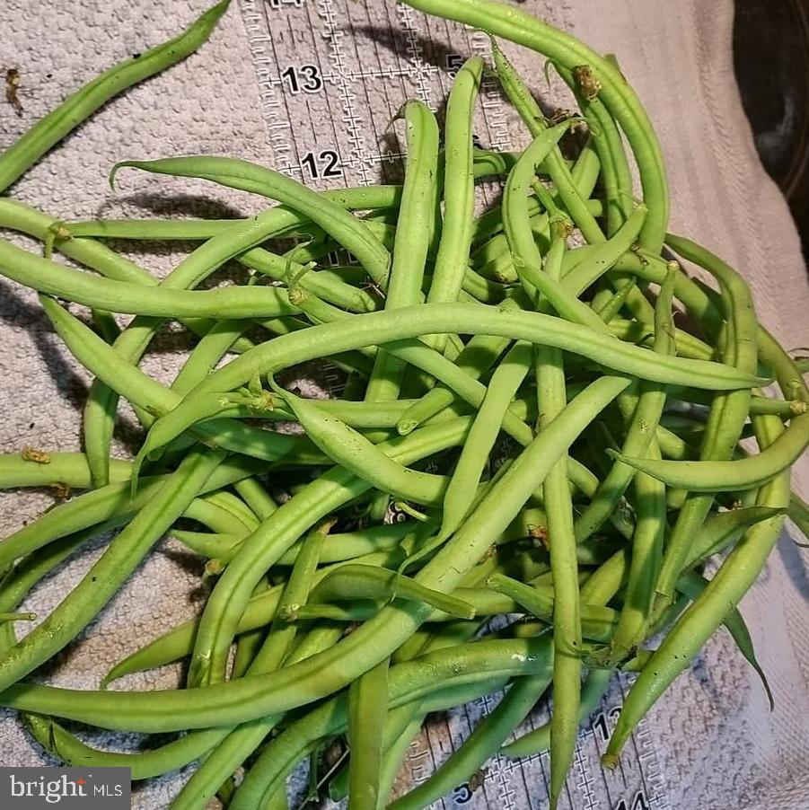 7410 Dakota Avenue Chesapeake Beach, MD 20732 - Photo 55 of 68