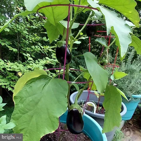 $499,900 | 7410 Dakota Avenue, Chesapeake Beach, MD 20732