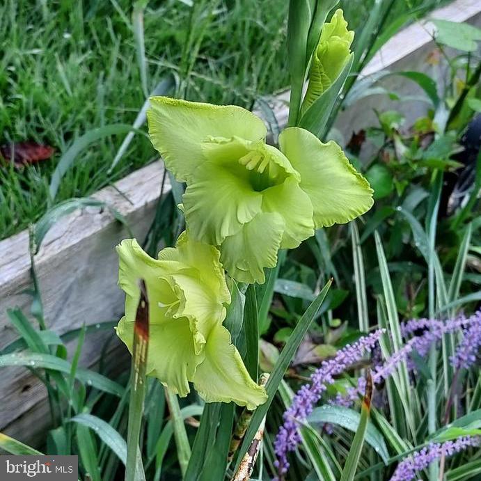 7410 Dakota Avenue Chesapeake Beach, MD 20732 - Photo 57 of 68