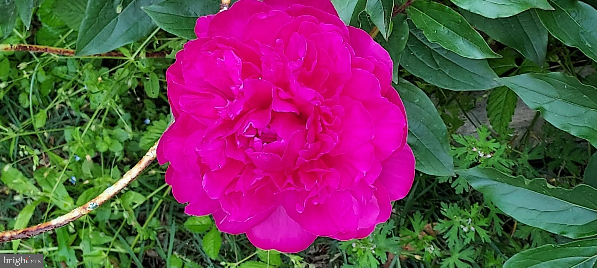 7410 Dakota Avenue Chesapeake Beach, MD 20732 - Photo 60 of 68 a view of a house with a street
