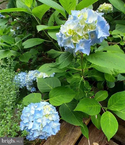 $499,900 | 7410 Dakota Avenue, Chesapeake Beach, MD 20732