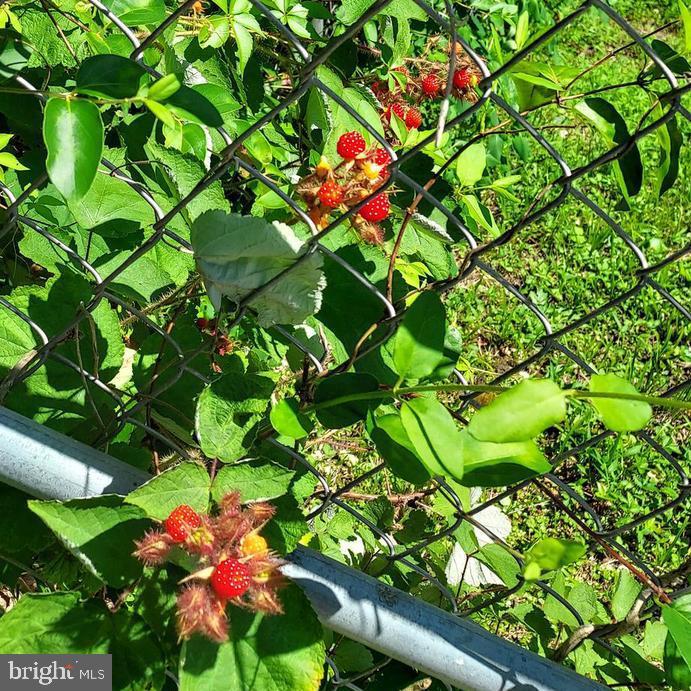 7410 Dakota Avenue Chesapeake Beach, MD 20732 - Photo 64 of 68