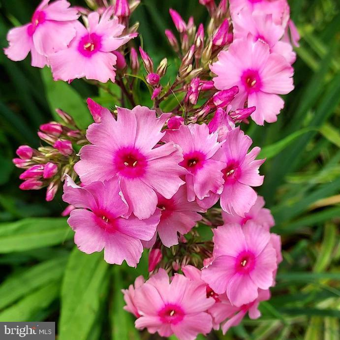 7410 Dakota Avenue Chesapeake Beach, MD 20732 - Photo 65 of 68