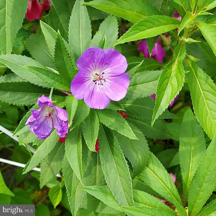 7410 Dakota Avenue Chesapeake Beach, MD 20732 - Photo 66 of 68