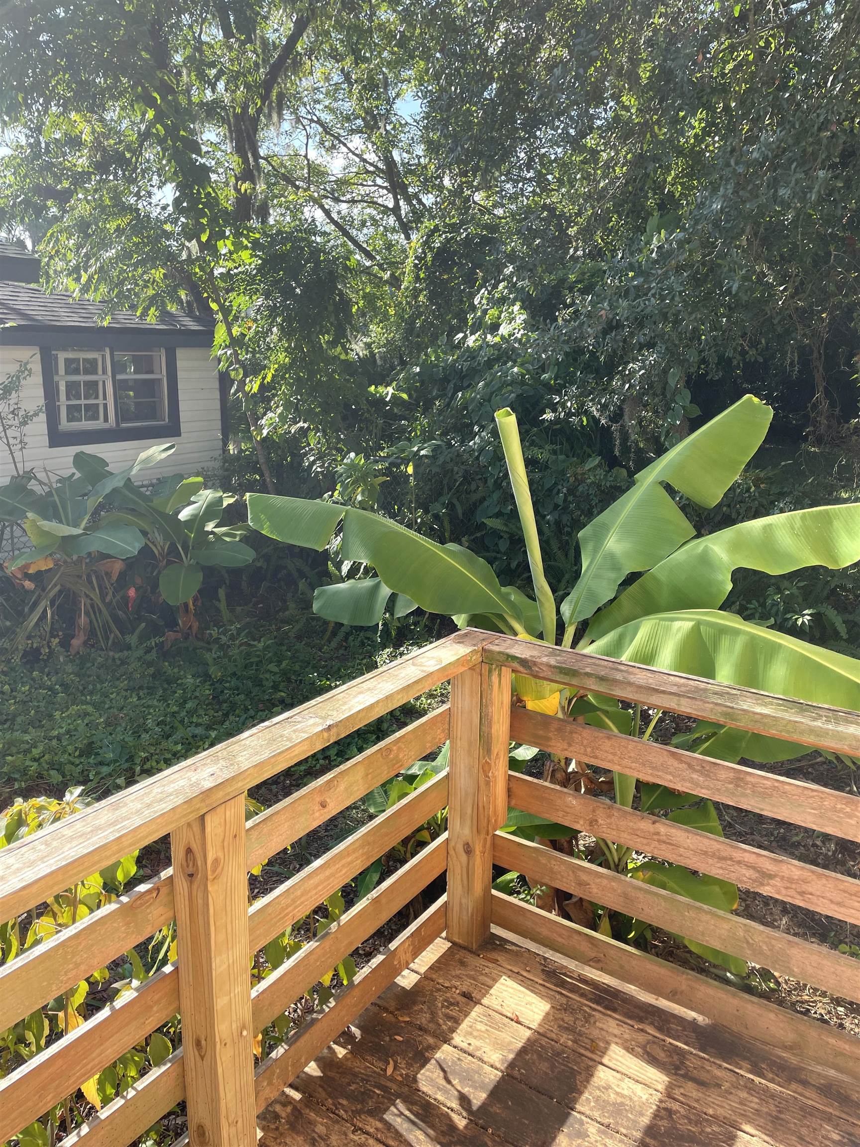 9 Blanche Lane St. Augustine, FL 32084 - Photo 15 of 15 a view of backyard with deck and garden