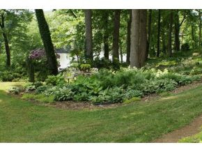 879 Egypt Road Bluff City, TN 37618 - Photo 16 of 24 Photo 16