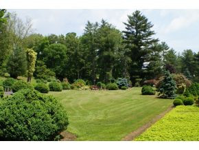 879 Egypt Road Bluff City, TN 37618 - Photo 17 of 24 Manicured Landscaping
