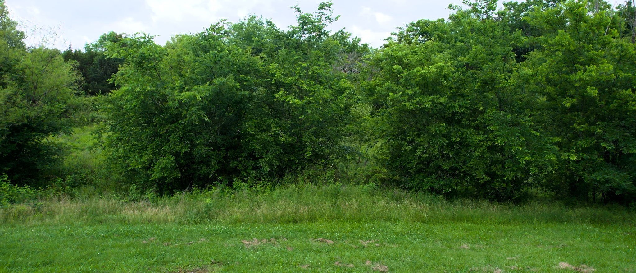 760 Flat Woods Road Lebanon, TN 37090 - Photo 63 of 82