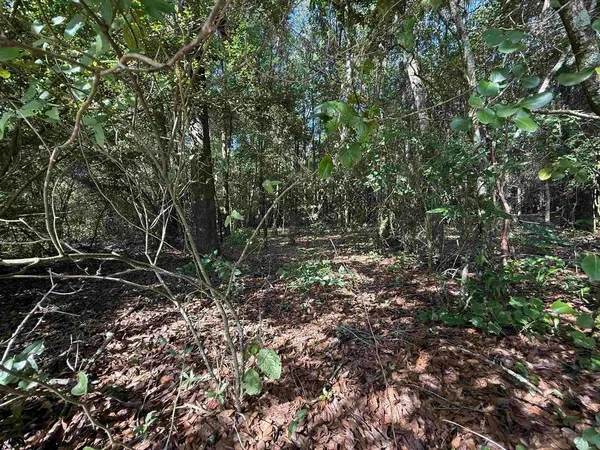 $25,000 | Xxx Xxx Lewis Lane, Quincy, FL 32352